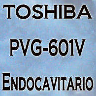 TOSHIBA PVG-601V